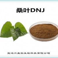 桑葉提取物 桑葉DNJ 工廠發貨