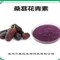 桑葚提取物 桑葚花青素 植物提取物