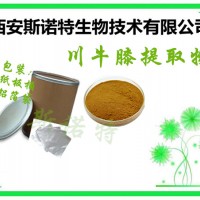 川牛膝提取物 10:1 多種規格 濃縮萃取