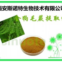 金狗毛蕨浸膏粉 金狗毛蕨粉價格 產品 包郵
