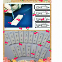 金黃色葡萄球菌膠體金檢測卡15分鐘出結(jié)果