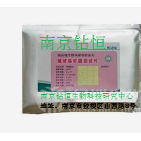 金黃色葡萄球菌薄膜快速測試片