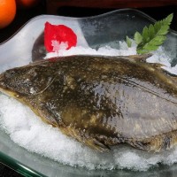 鴉片魚抗生素檢測報告,鴉片魚質量檢測機構,鴉片魚營養檢測項目