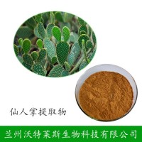 仙人掌提取物 梨果/蝴蝶亞提取物