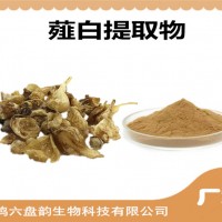 薤白提取物 薤白浸膏粉 可定制生產 藥食同源
