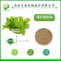 薄荷粉  薄荷提取物  廠家現(xiàn)貨直銷