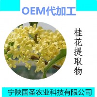 桂花提取物10:1  桂花粉 25公斤裝/紙板桶寧陜國圣