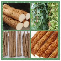 山藥提取物 山藥高倍濃縮粉