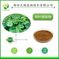 荷葉萃取物廠家供應(yīng)荷葉粉