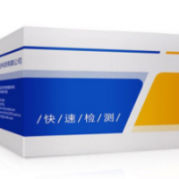 嘔吐毒素免疫親和柱