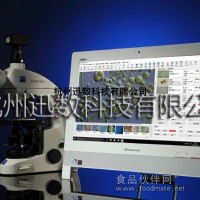 迅數(shù)T200藻類(lèi)智能鑒定計(jì)數(shù)儀