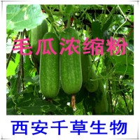 毛瓜提取物 毛瓜濃縮粉廠家生產提取物 定做毛瓜濃縮浸膏