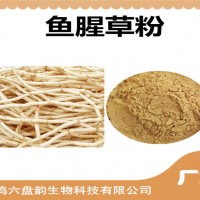魚腥草濃縮粉 魚腥草粉 生產廠家