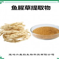 魚腥草提取物 魚腥草粉 藥食同源 比例提取 可定制生產