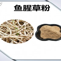 魚腥草速溶粉 魚腥草粉 廠家發貨