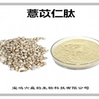 薏苡仁提取物 薏苡仁肽 廠家發(fā)貨