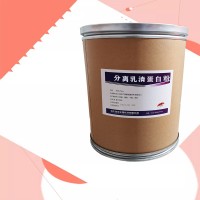 分離乳清蛋生產廠家食品級 分離乳清蛋廠家批發河北潤步