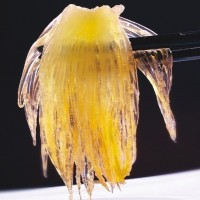 魚翅抗生素檢測報告,魚翅質量檢測機構,魚翅營養檢測項目