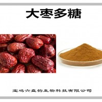 大棗提取物 大棗多糖 廠家發貨 可定制