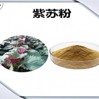 紫蘇速溶粉 紫蘇粉 廠家發(fā)貨
