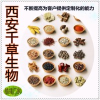 淡豆豉濃縮粉 廠家生產定做五谷熟粉