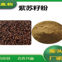 紫蘇籽速溶粉 紫蘇籽粉 廠家發(fā)貨