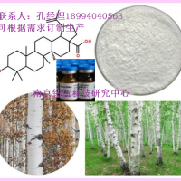 白樺酯酸標(biāo)準(zhǔn)品98%含量科研用白樺樹皮提取物