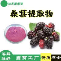 桑葚提取物 自有工廠  桑葚粉
