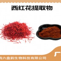 西紅花提取物 西紅花粉 可定制生產 藥食同源