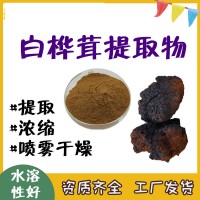 白樺茸提取物 自有工廠 白樺茸多糖 微生物合格