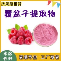 覆盆子提取物 自有工廠 覆盆子粉 微生物合格