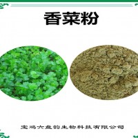 香菜速溶粉 香菜粉 廠家發貨