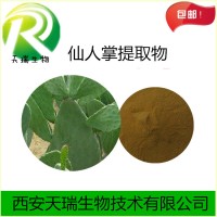 仙人掌提取物仙人掌黃酮天瑞生產