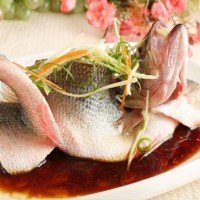 魚抗生素檢測報告,魚質量檢測機構,魚營養檢測項目