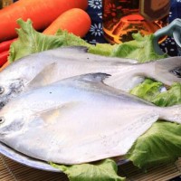 鯧魚檢測報告,鯧魚抗生素檢測機構,鯧魚營養檢測項目