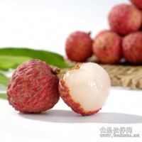 荔枝農藥殘留檢測,荔枝重金屬檢測報告