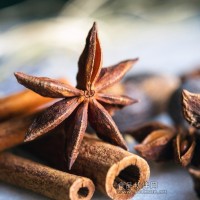 八角營養(yǎng)檢測農(nóng)藥殘留檢測重金屬檢測報告