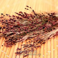 高粱檢測項目,高粱農藥殘留檢測報告