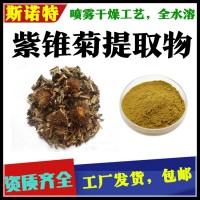 紫錐菊提取物  可開發票 工廠發貨