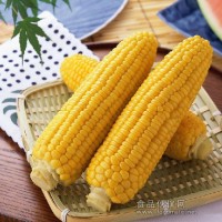 玉米檢測報告,玉米農殘檢測,轉基因檢測