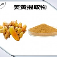 姜黃提取物 姜黃粉 可定制生產 藥食同源