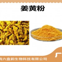 姜黃濃縮粉 姜黃粉 生產廠家