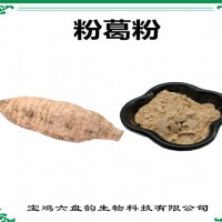 粉葛濃縮粉 粉葛粉 生產(chǎn)廠家