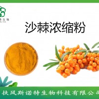 沙棘濃縮汁   斯諾特   沙棘果粉