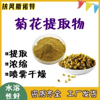 菊花提取物  斯諾特提取工廠