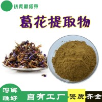 葛花提取物  斯諾特工廠