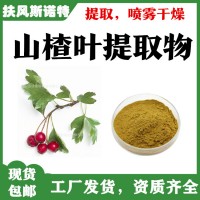 山楂葉提取物  山楂葉黃酮   斯諾特工廠