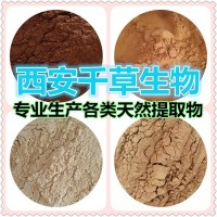 魔芋天然提取物魔芋濃縮粉廠家生產提取物魔芋粉