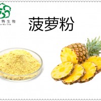 速溶菠蘿粉   噴霧干燥  菠蘿果粉
