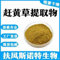 趕黃草提取物  帶檢測報(bào)告